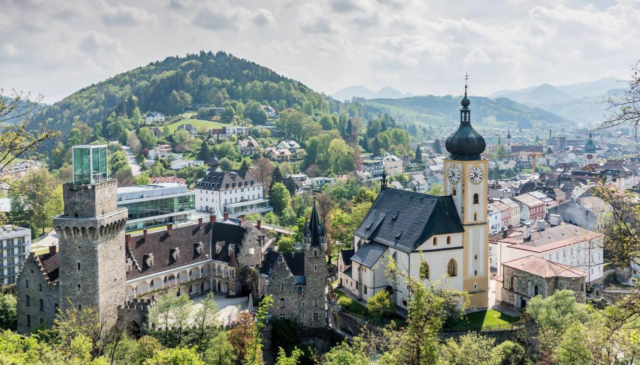 Das Schloss An Der Eisenstrasse Waidhofen an der Ybbs Exterior photo